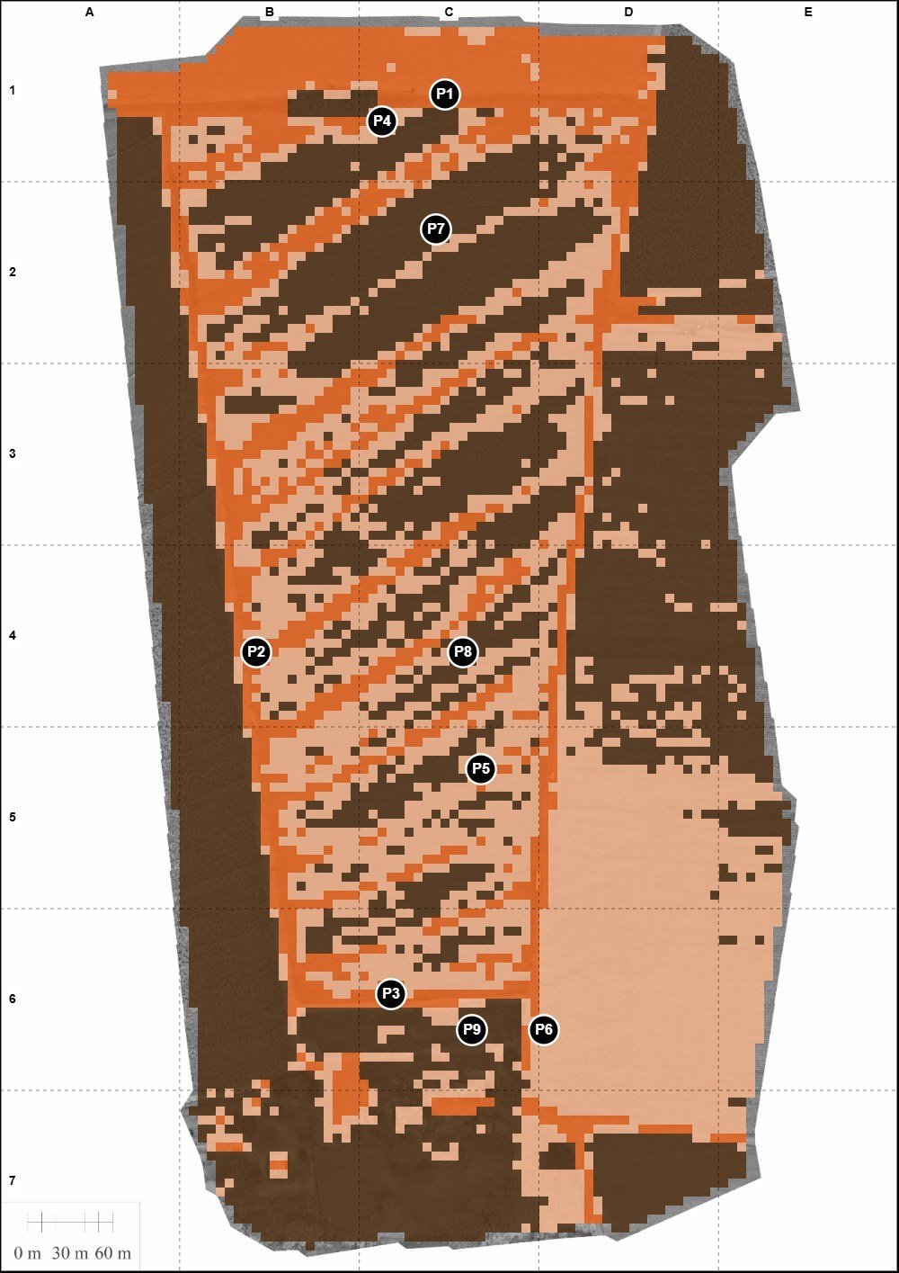 Mapeamento RGB+NDVI — classificação de cobertura vegetal com pontos de vistoria