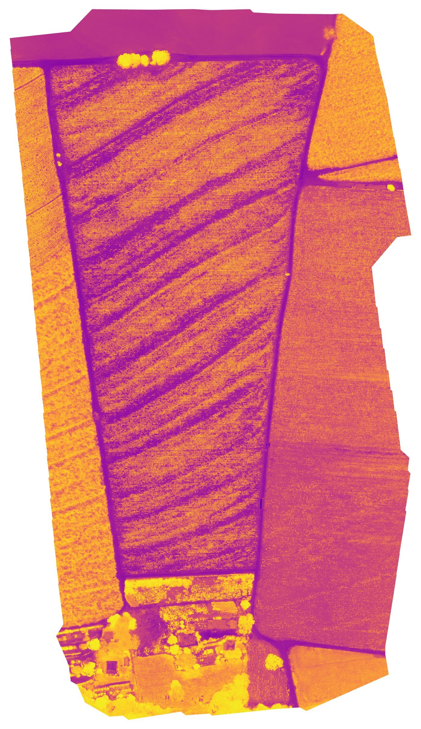 Mapa NDVI em paleta Plasma do talhão